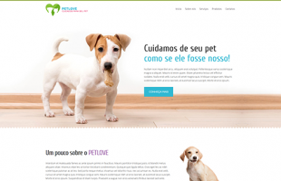 snapshot-template039