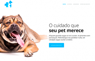 snapshot-template097