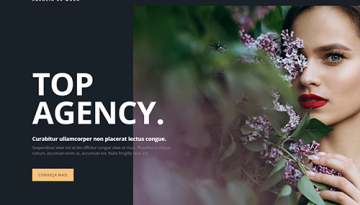 snapshot-template185