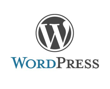 Guia básico para iniciantes: o que é tema WordPress, afinal?